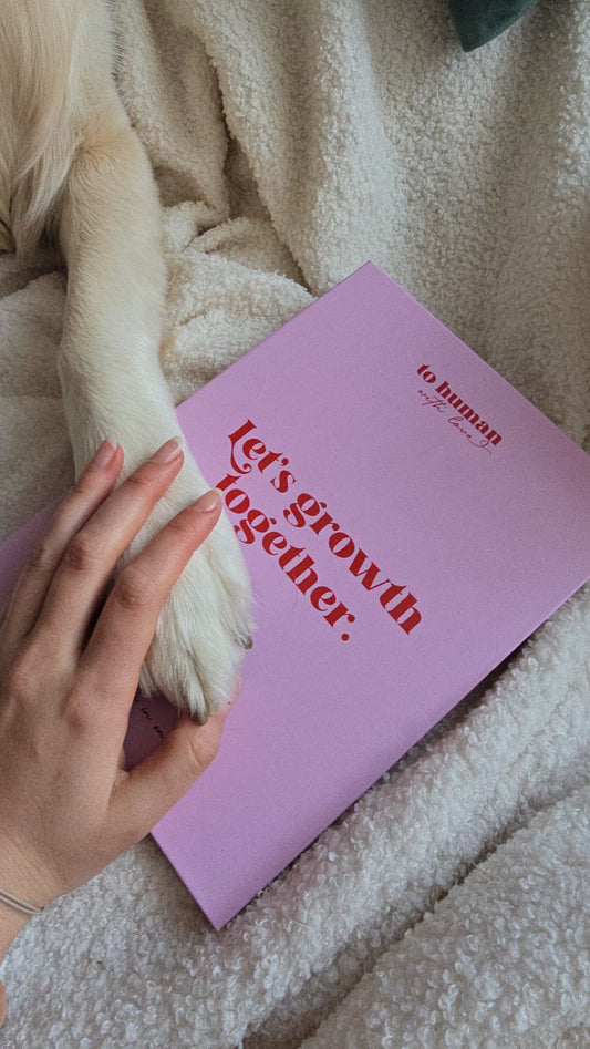 Планер Let's growth together