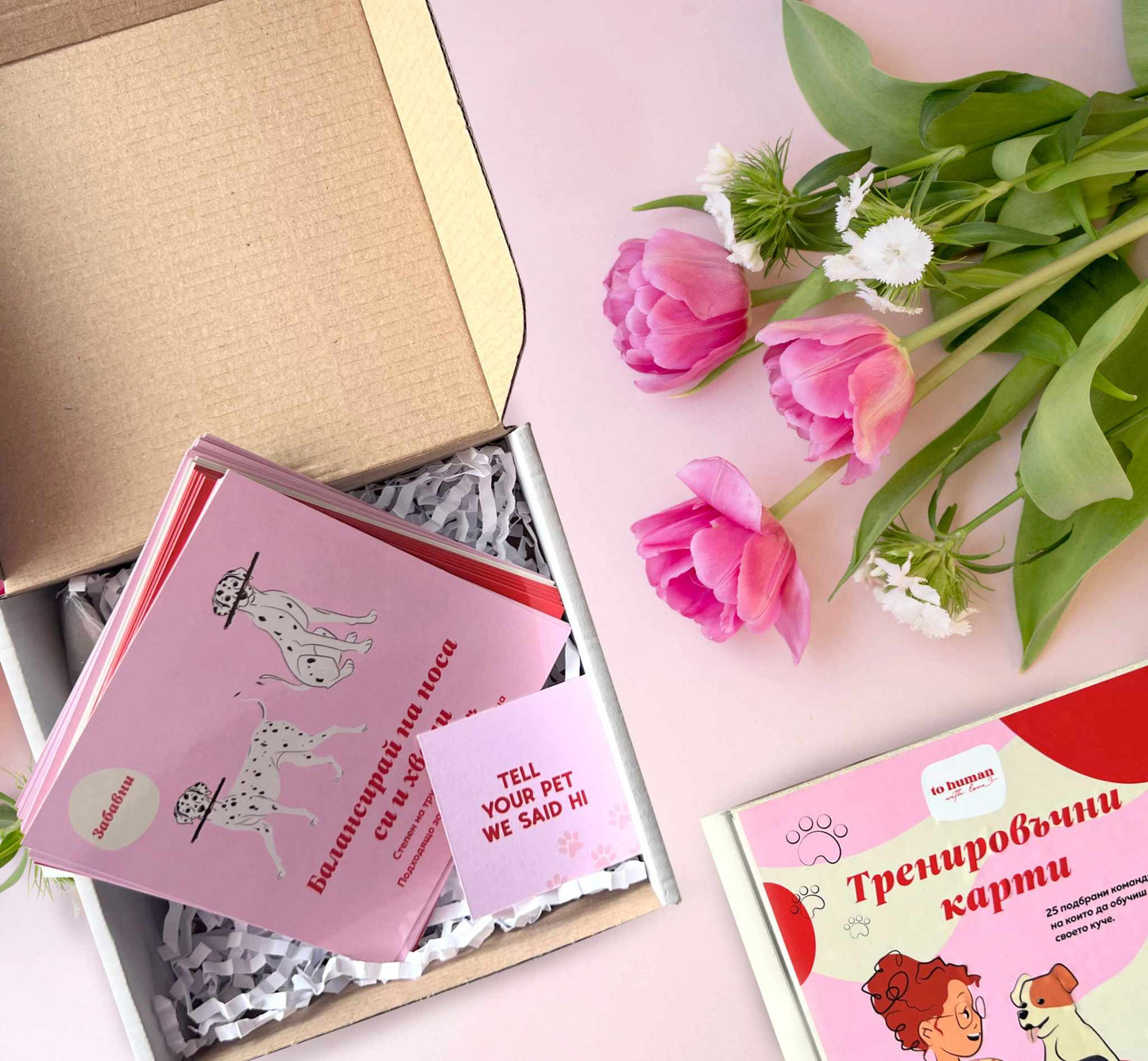 Тренировъчни карти